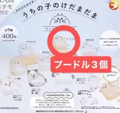 うちの子のけだまだま　プードル　3個