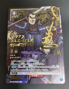 ユニオンアリーナ キングダム アクションポイント AP 王騎 - メルカリ