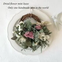 ポポラスとブルーアイスの淡色ハーフリース＊ラッピング無料 プレゼント 冬