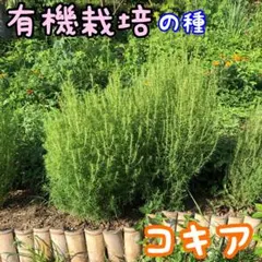 まーみー様 リクエスト 4点 まとめ商品