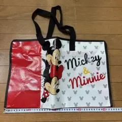 よ*え様 ディズニーストア ラッキーバッグ 外袋のみ