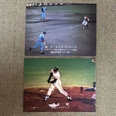 平安京様 リクエスト 2点 まとめ商品