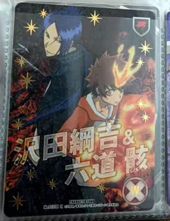家庭教師ヒットマンREBORN! CCG 沢田綱吉&六道骸 R
