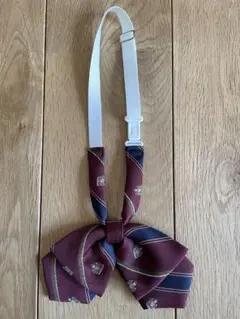 Item thumbnail for item 8a728def-e17e-4401-92de-780e9771d7dc