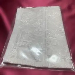 Item thumbnail for item a70d8046-0954-43f9-84f9-3811c1430e04