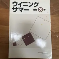 2025年最新】ウイニングサマーの人気アイテム - メルカリ