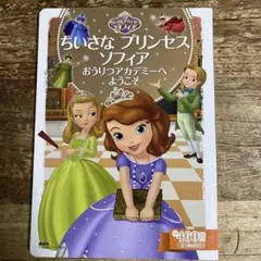 ちいさな プリンセス ソフィア おうりつアカデミーへ ようこそ