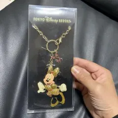 ディズニーランド 30周年 バッグチャーム キーホルダー