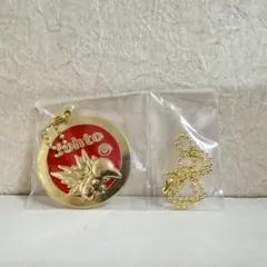 ポケモン　一番くじ　メダルチャーム　ヒノアラシ