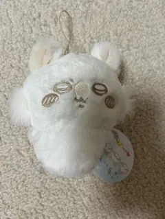 Item thumbnail for item 8553fbf2-dfc1-4d7f-847e-e8bf6595f1c7