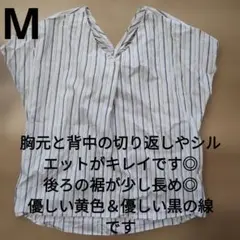 М　レディース　オシャレ着