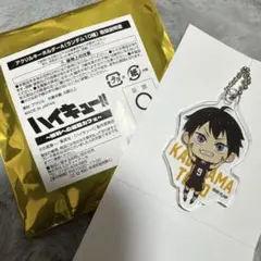 ハイキュー 勝利への道筋カフェ アクリルキーホルダーA 影山飛雄