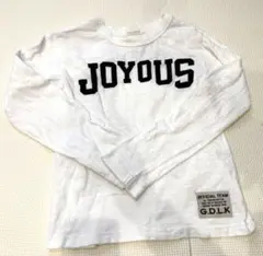 オフィシャルチーム　ロンT 120