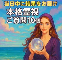 ご質問10個 本格霊視鑑定 当日中に鑑定結果をお届け 深掘り鑑定 チャット占い