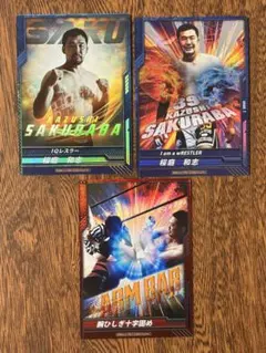 Item thumbnail for item 5ddcb533-10b6-4638-9f14-43efd5d3945d