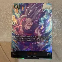 孫悟飯SH ドラゴンボールカード サイヤ人・地球人 SCR