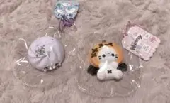 ninnydiy アザラシ ハロウィン パンプキン おまけ付き