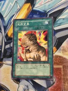 遊戯王　メタモルフォーゼ 突然変異　3期　301　ノーマル　1枚