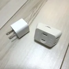 ホワイト 2ピン 変換プラグ