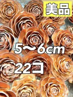 ①シダーローズ 裏どめ有　ハンドメイド　木の実　アートフラワー　リースのサムネイル
