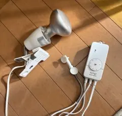 Item thumbnail for item 388423cc-4d1d-483a-890c-f8fea7952779