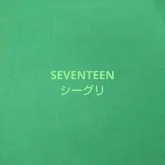 SEVENTEEN シーグリ