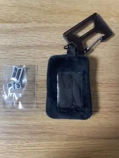 BTS 2025 FESTA ミニフォトカードケース　DICON公式トレカ付