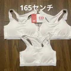 レディース　ハーフトップ　165センチ×3