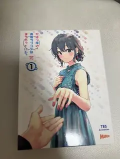 2026年最新】やはり俺の青春ラブコメはまちがっている dvdの人気
