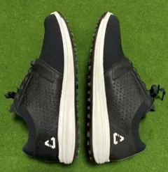 Item thumbnail for item 48331f77-562c-405d-ace4-11a7d0e4422f