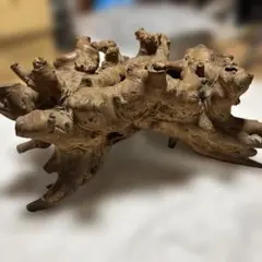 石造り フクロウ オーナメント 庭 ガーデニング高さ48センチ - メルカリ