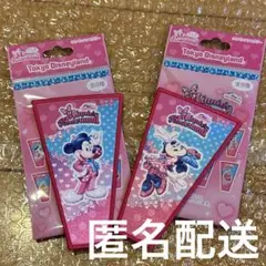 ディズニー パルパルーザ ワッペンアクセサリー ミッキー ミニー セット