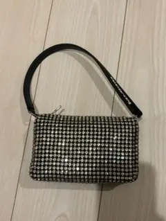【16日まで値下げ】Alexander wang バッグのサムネイル