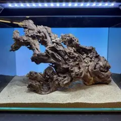 MSRW-6976スリムウッドレイアウトセット 60cm水槽用流木 アクアリウム