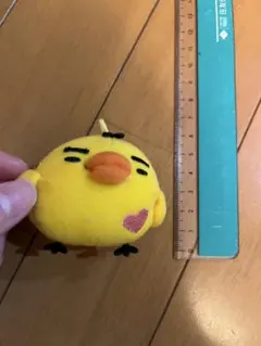 2025年最新】キイロイトリ まゆげの人気アイテム - メルカリ