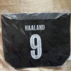 マンチェスター・シティ 9：Erling Haalandキャンバストートバッグのサムネイル
