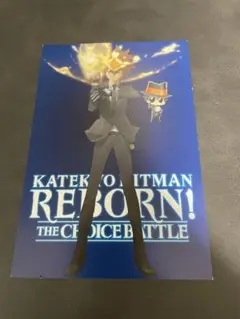 家庭教師ヒットマンREBORN! ポストカード 沢田綱吉