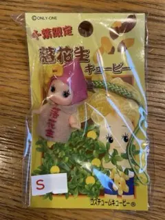 千葉限定 落花生キューピー ご当地 コスチュームQP 未使用 レアのサムネイル