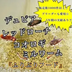あいり様　1kg