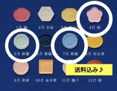 金麦花やか皿の大皿　3枚セット　④ 桜　⑤　鈴蘭　⑦　朝顔　2026年のサムネイル