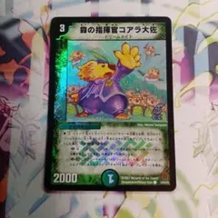 森の指揮官コアラ大佐　ホイル