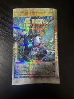 四天の龍クリアウィングシンクロドラゴン オーバーフレーム プリシク