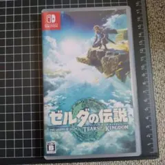 ゼルダの伝説 TEARS OF THE KINGDOM