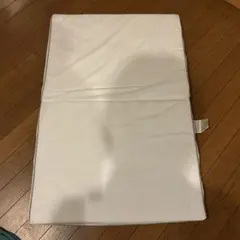 Item thumbnail for item 3bcd178b-dc73-4b14-a6aa-e099d4b18df3