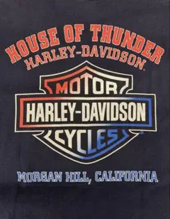 【2021年製】ハーレーダビッドソン ポケットTシャツ 両面プリント L 紺