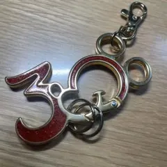 東京ディズニーリゾート 30周年 カラビナ キーホルダー