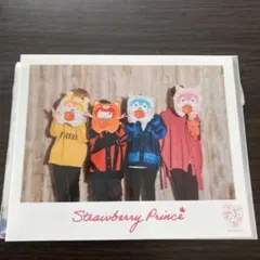 すとぷり 実写ブロマイド 全員 おみくじ入り