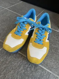 Atlantic Stars イエロー/ブルー 43