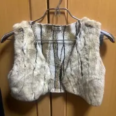 ベージュ系ファーベスト ノースリーブ