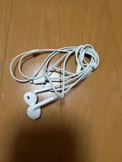 ホワイト 有線イヤホン インイヤー型